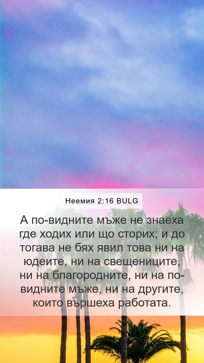 Неемия 2:16 BULG Mobile Phone Wallpaper - А по-видните мъже не знаеха - Mobile Bible Verse Wallpaper