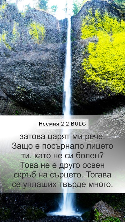 Неемия 2:2 BULG Bible Verse Image
