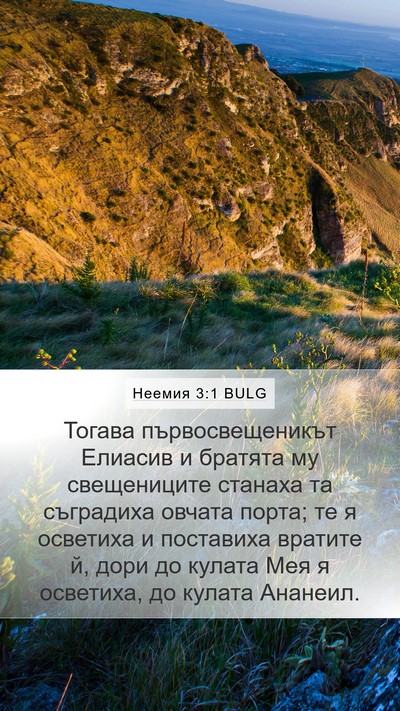 Неемия 3:1 BULG Bible Verse Image
