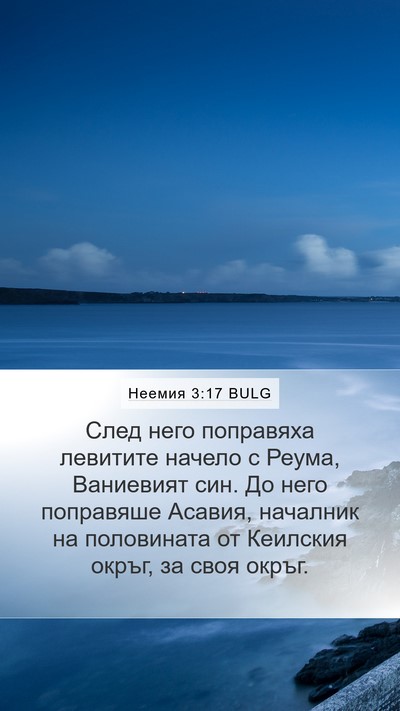 Неемия 3:17 BULG Bible Verse Image