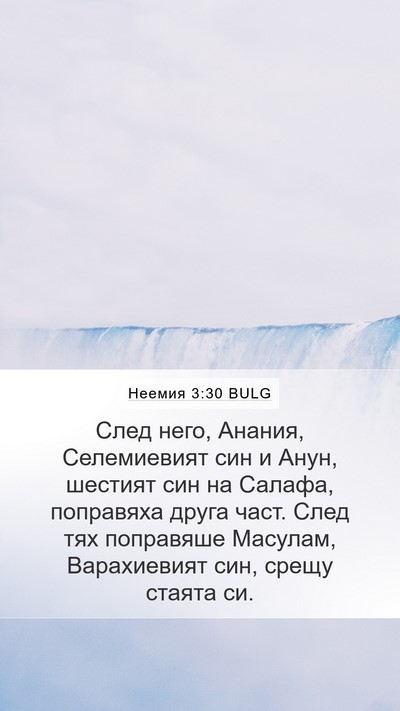 Неемия 3:30 BULG Bible Verse Image