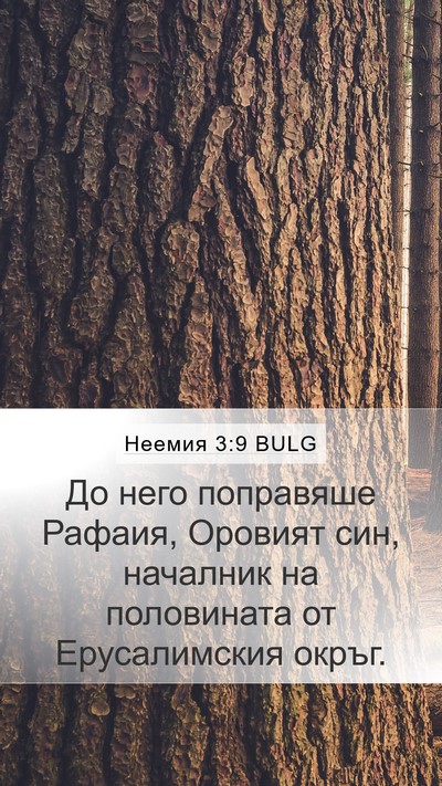 Неемия 3:9 BULG Mobile Phone Wallpaper - До него поправяше Рафаия, - Mobile Bible Verse Wallpaper