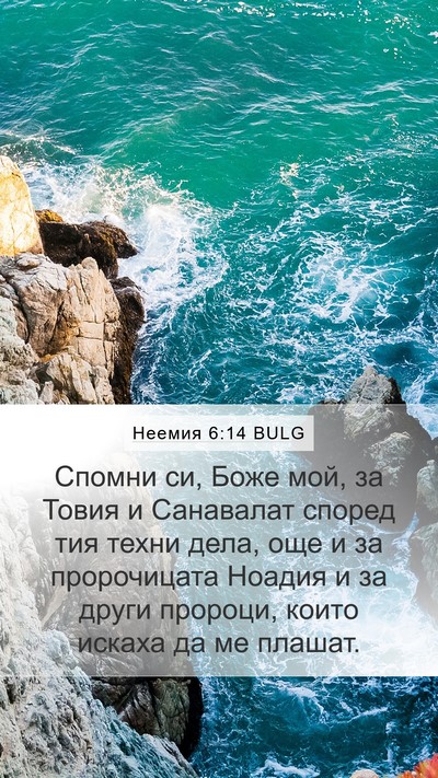 Неемия 6:14 BULG Bible Verse Image