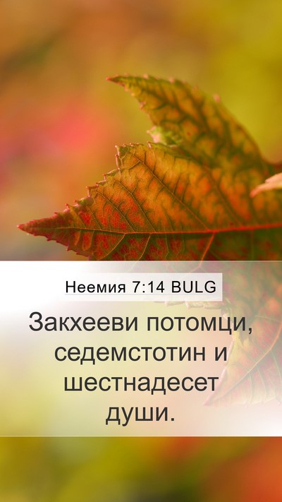 Неемия 7:14 BULG Mobile Phone Wallpaper - Закхееви потомци, - Mobile Bible Verse Wallpaper