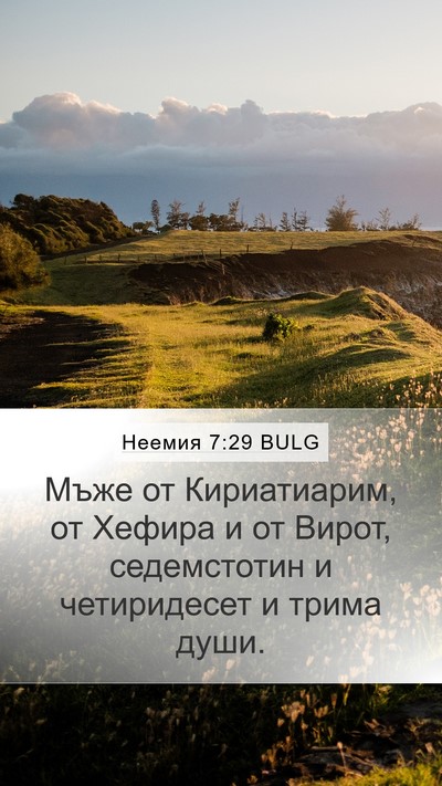 Неемия 7:29 BULG Bible Verse Image