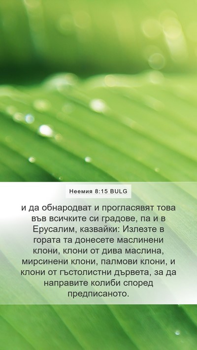 Неемия 8:15 BULG Bible Verse Image