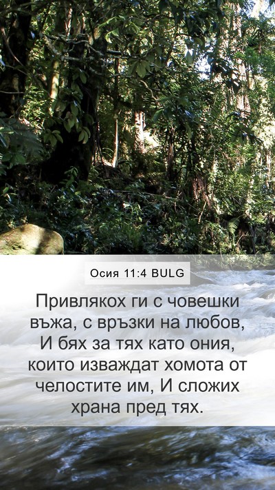 Осия 11:4 BULG Mobile Phone Wallpaper - Привлякох ги с човешки - Mobile Bible Verse Wallpaper