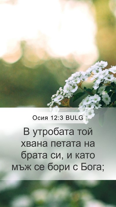 Осия 12:3 BULG Bible Verse Image