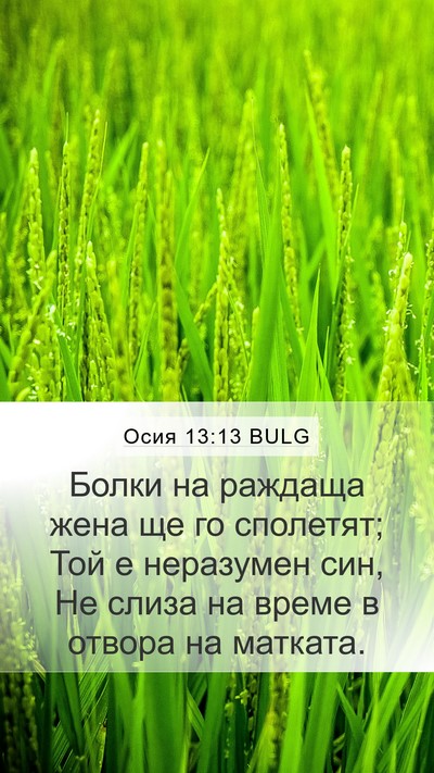 Осия 13:13 BULG Bible Verse Image