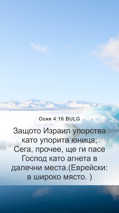 Осия 4:16 BULG Bible Verse Image