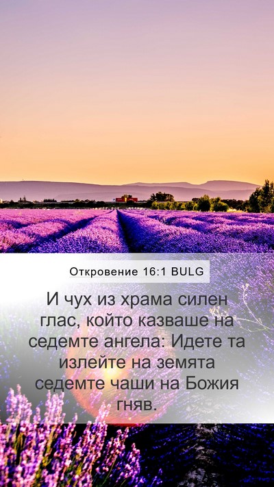 Откровение 16:1 BULG Bible Verse Image
