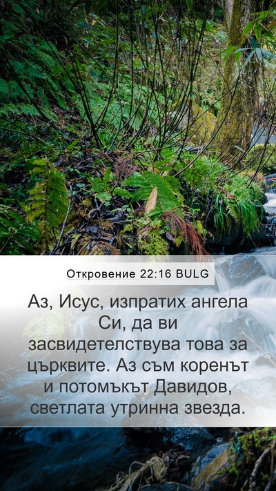 Откровение 22:16 BULG Bible Verse Image