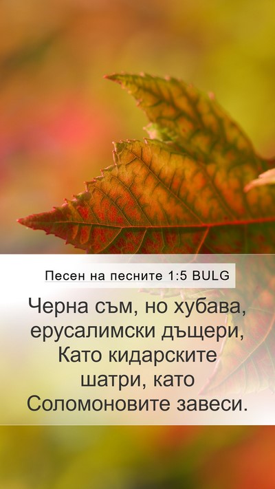 Песен на песните 1:5 BULG Bible Verse Image