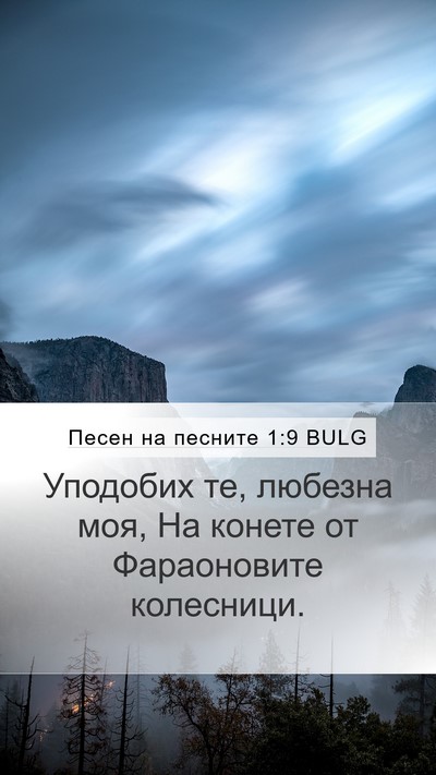 Песен на песните 1:9 BULG Mobile Phone Wallpaper - Уподобих те, любезна моя, - Mobile Bible Verse Wallpaper
