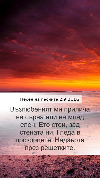 Песен на песните 2:9 BULG Bible Verse Image