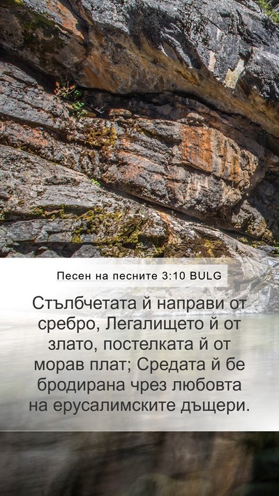 Песен на песните 3:10 BULG Bible Verse Image