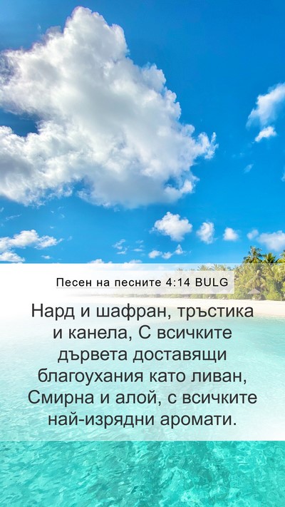 Песен на песните 4:14 BULG Bible Verse Image