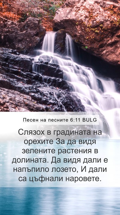 Песен на песните 6:11 BULG Bible Verse Image