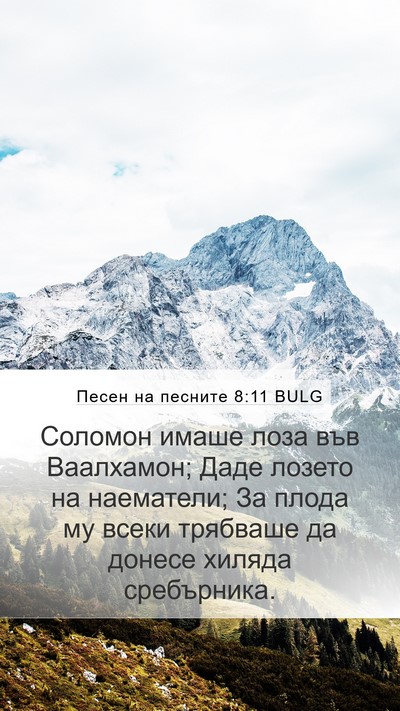 Песен на песните 8:11 BULG Bible Verse Image