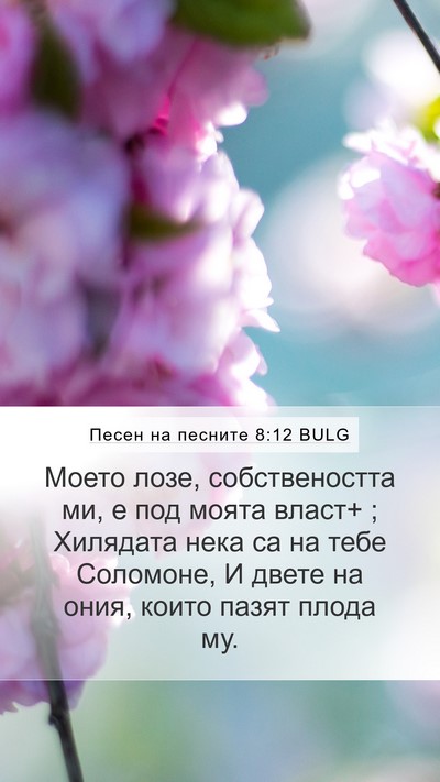 Песен на песните 8:12 BULG Mobile Phone Wallpaper - Моето лозе, собствеността - Mobile Bible Verse Wallpaper