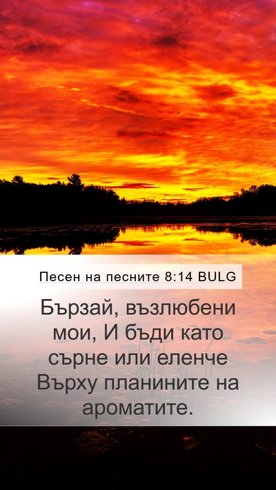 Песен на песните 8:14 BULG Bible Verse Image
