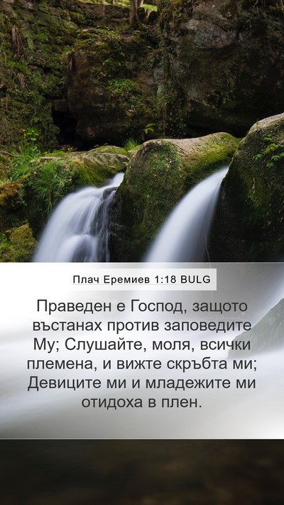 Плач Еремиев 1:18 BULG Bible Verse Image