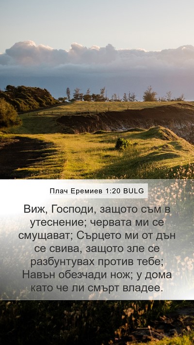 Плач Еремиев 1:20 BULG Bible Verse Image