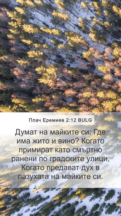 Плач Еремиев 2:12 BULG Bible Verse Image