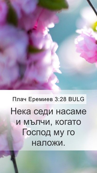 Плач Еремиев 3:28 BULG Bible Verse Image