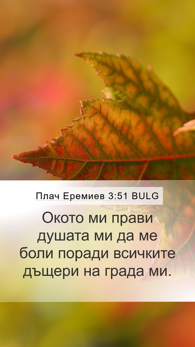 Плач Еремиев 3:51 BULG Mobile Phone Wallpaper - Окото ми прави душата ми да - Mobile Bible Verse Wallpaper