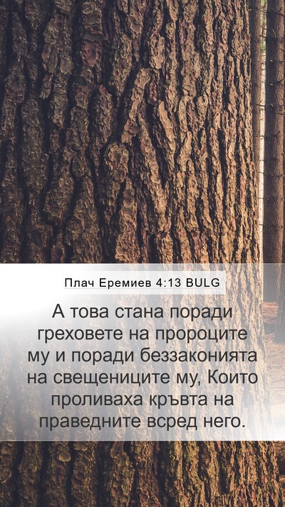Плач Еремиев 4:13 BULG Bible Verse Image