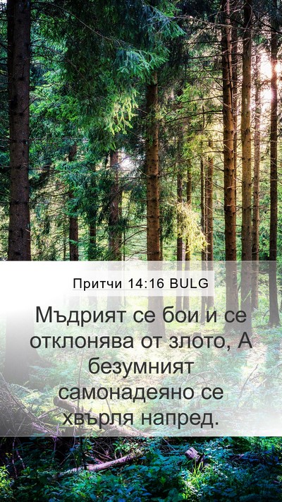 Притчи 14:16 BULG Bible Verse Image