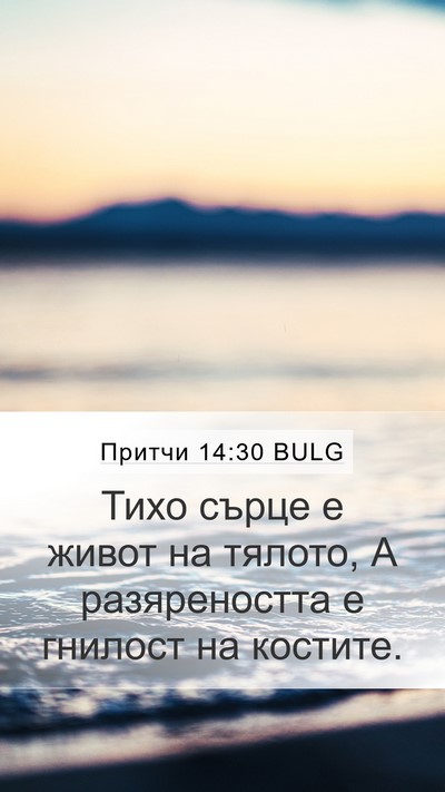 Притчи 14:30 BULG Bible Verse Image