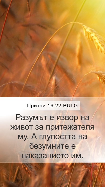 Притчи 16:22 BULG Bible Verse Image