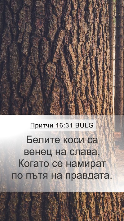 Притчи 16:31 BULG Bible Verse Image