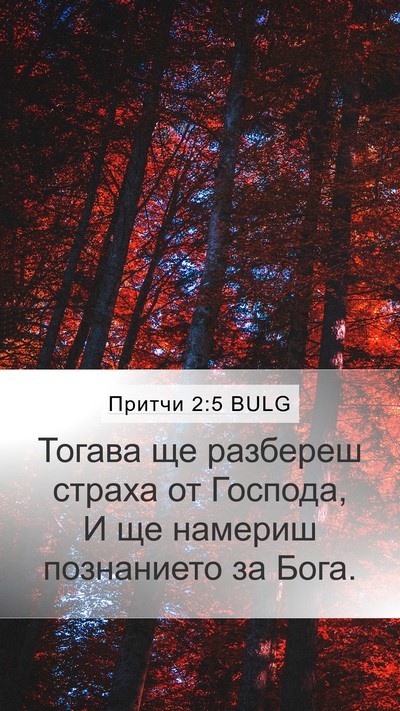 Притчи 2:5 BULG Bible Verse Image