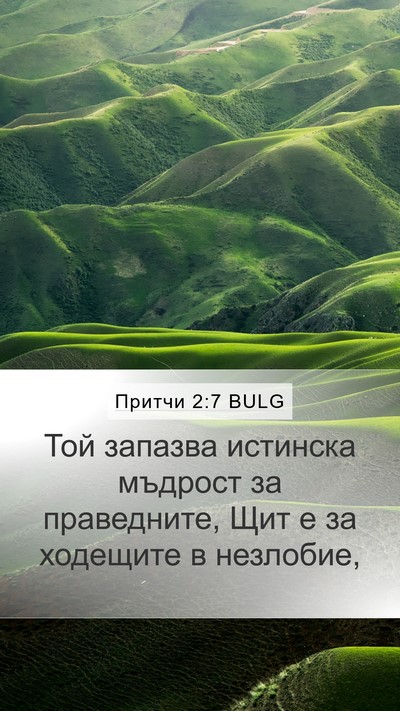Притчи 2:7 BULG Bible Verse Image