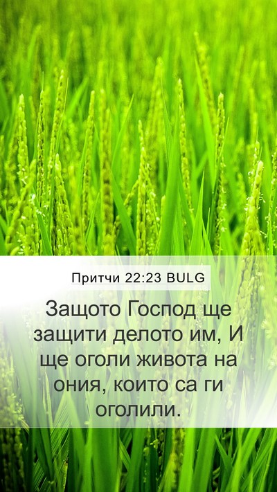 Притчи 22:23 BULG Bible Verse Image