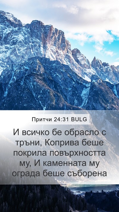 Притчи 24:31 BULG Mobile Phone Wallpaper - И всичко бе обрасло с - Mobile Bible Verse Wallpaper