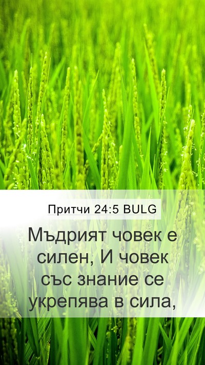 Притчи 24:5 BULG Mobile Phone Wallpaper - Мъдрият човек е силен, И - Mobile Bible Verse Wallpaper