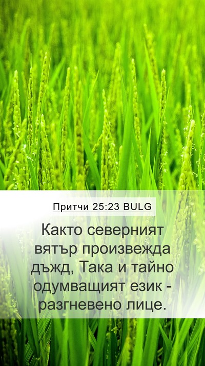 Притчи 25:23 BULG Bible Verse Image