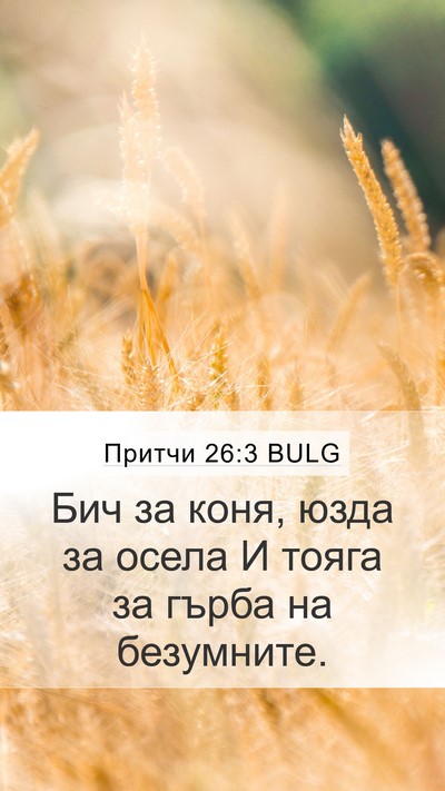 Притчи 26:3 BULG Bible Verse Image