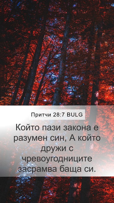 Притчи 28:7 BULG Bible Verse Image