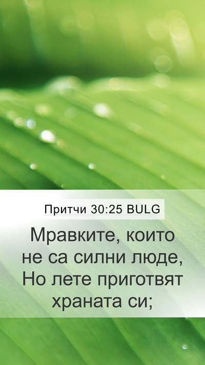 Притчи 30:25 BULG Bible Verse Image