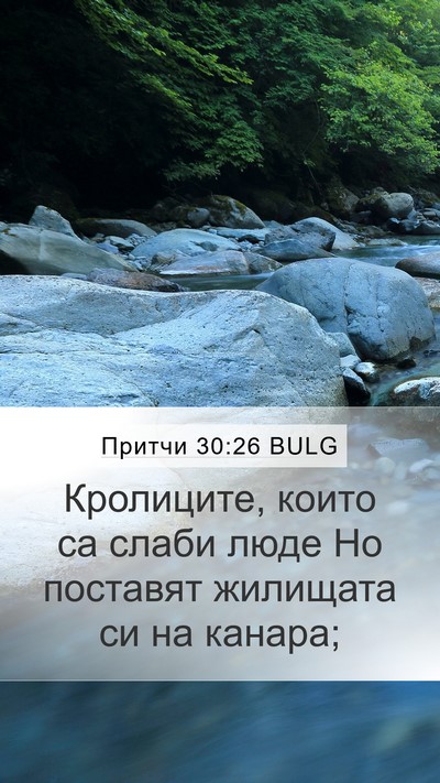 Притчи 30:26 BULG Bible Verse Image