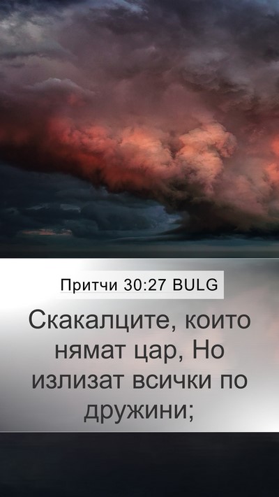 Притчи 30:27 BULG Bible Verse Image