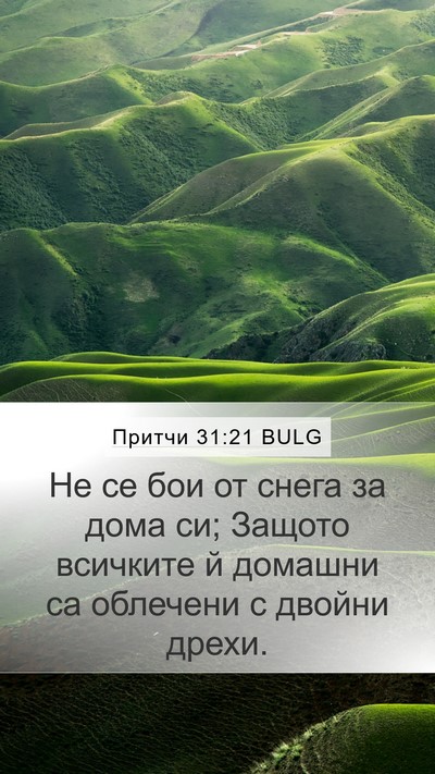 Притчи 31:21 BULG Bible Verse Image