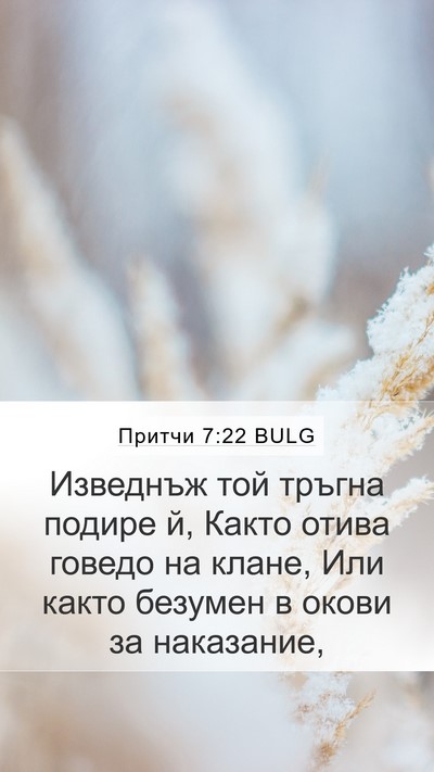 Притчи 7:22 BULG Bible Verse Image