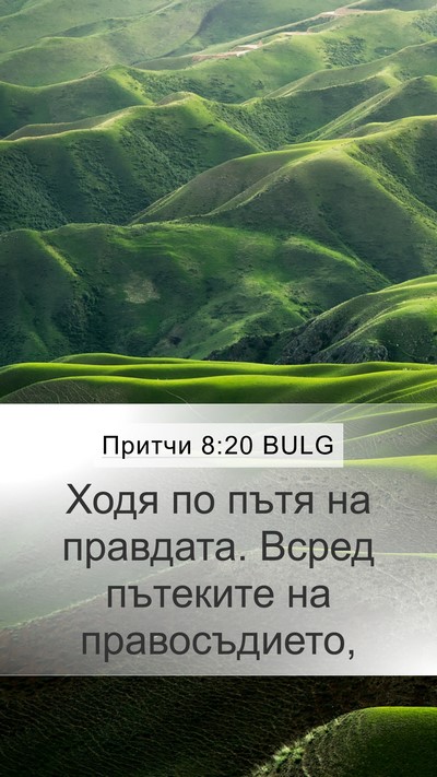 Притчи 8:20 BULG Bible Verse Image