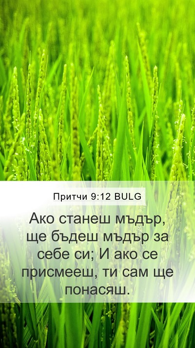 Притчи 9:12 BULG Bible Verse Image